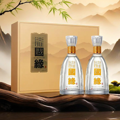 今世缘 国缘淡雅礼盒 42%vol 其他香型白酒 500ml*2瓶 216.06元（需用券）