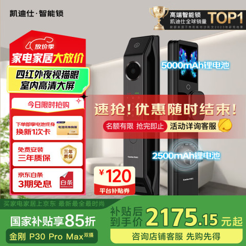 凯迪仕 P30 Pro Max 双摄款智能门锁 铝合金 金刚色 2559元（需用券）
