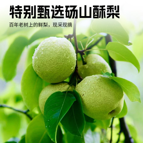 食品 TEKIN 儿童鲜橙金桔梨膏秋养正品胃办公室分享养生零食桶装官方旗舰店 10.5元