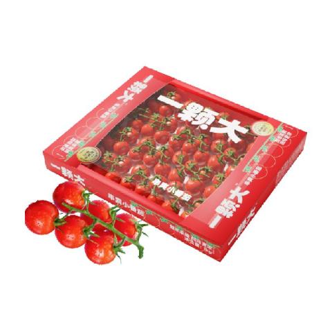 一颗大 玲珑串番茄 1千克 28.4元（需用券）