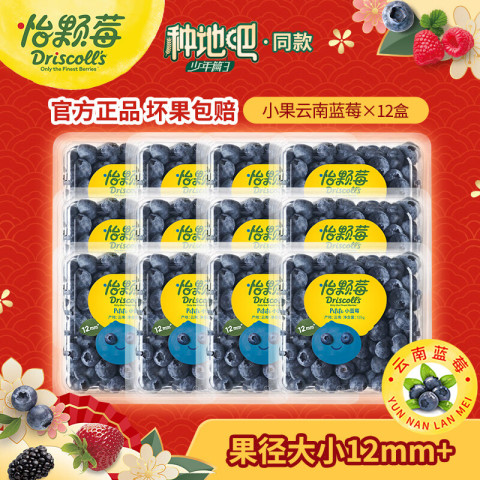 Driscoll's 怡颗莓 当季云南蓝莓 国产 新鲜蓝莓 送礼 生鲜水果 蓝莓小果125g*12盒 79.9元（需用券）