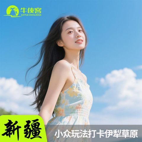 13日20点：精品小团无购物！伊犁环线 8天7晚6人跟团纯玩小团赛里木湖那拉提 3699元起
