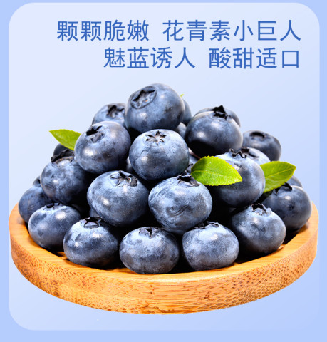 other 云南蓝莓 中小果 12-15mm 2盒 13.32元