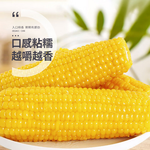 今日必买：珍谷诱惑 黄糯玉米 2kg*1箱 10支