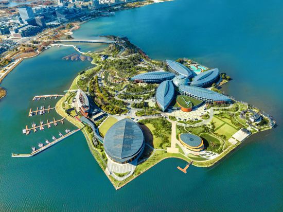 上海滴水湖洲际酒店_机酒卡常旅客论坛