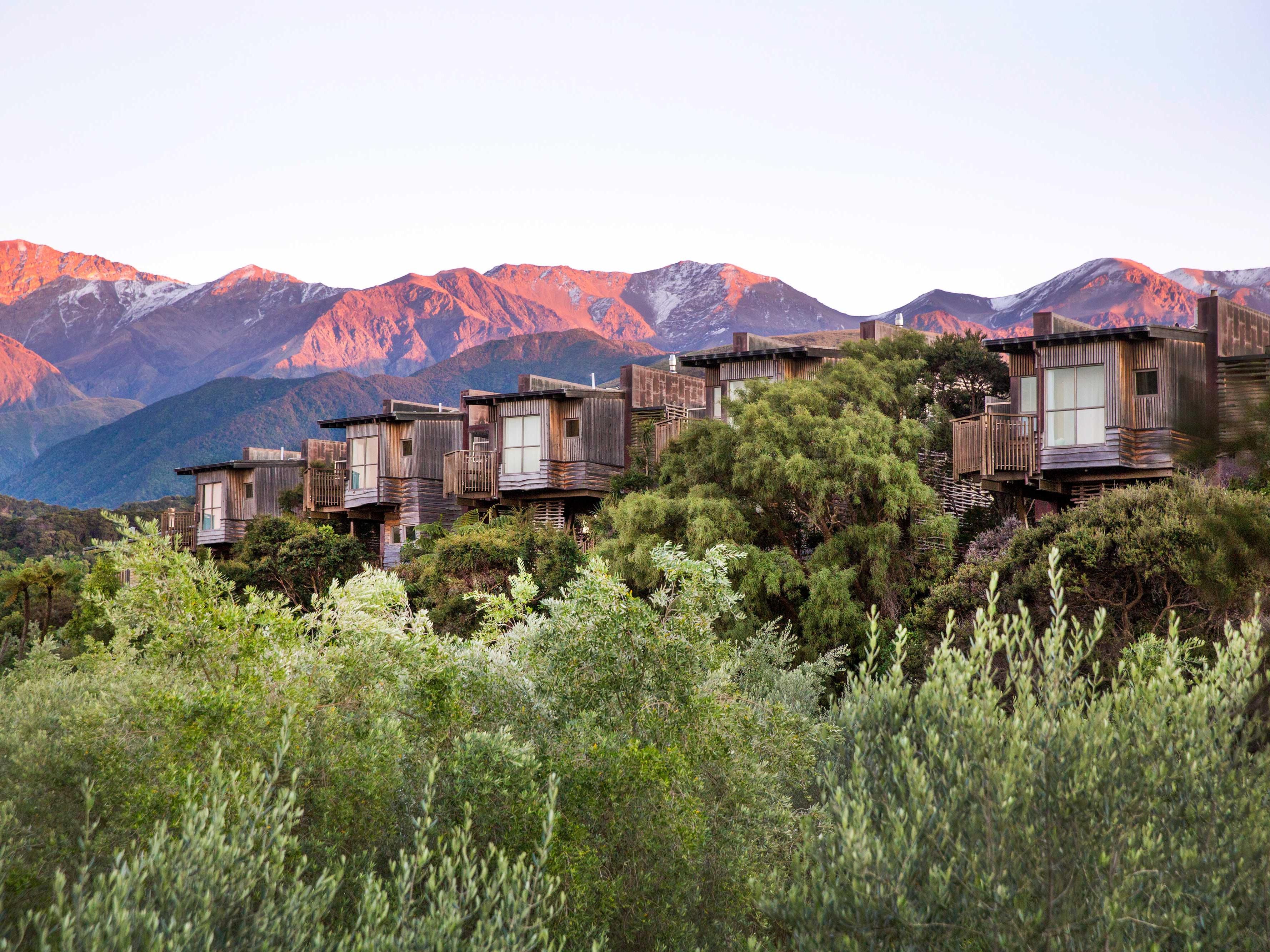 Hapuku Lodge & Tree Houses