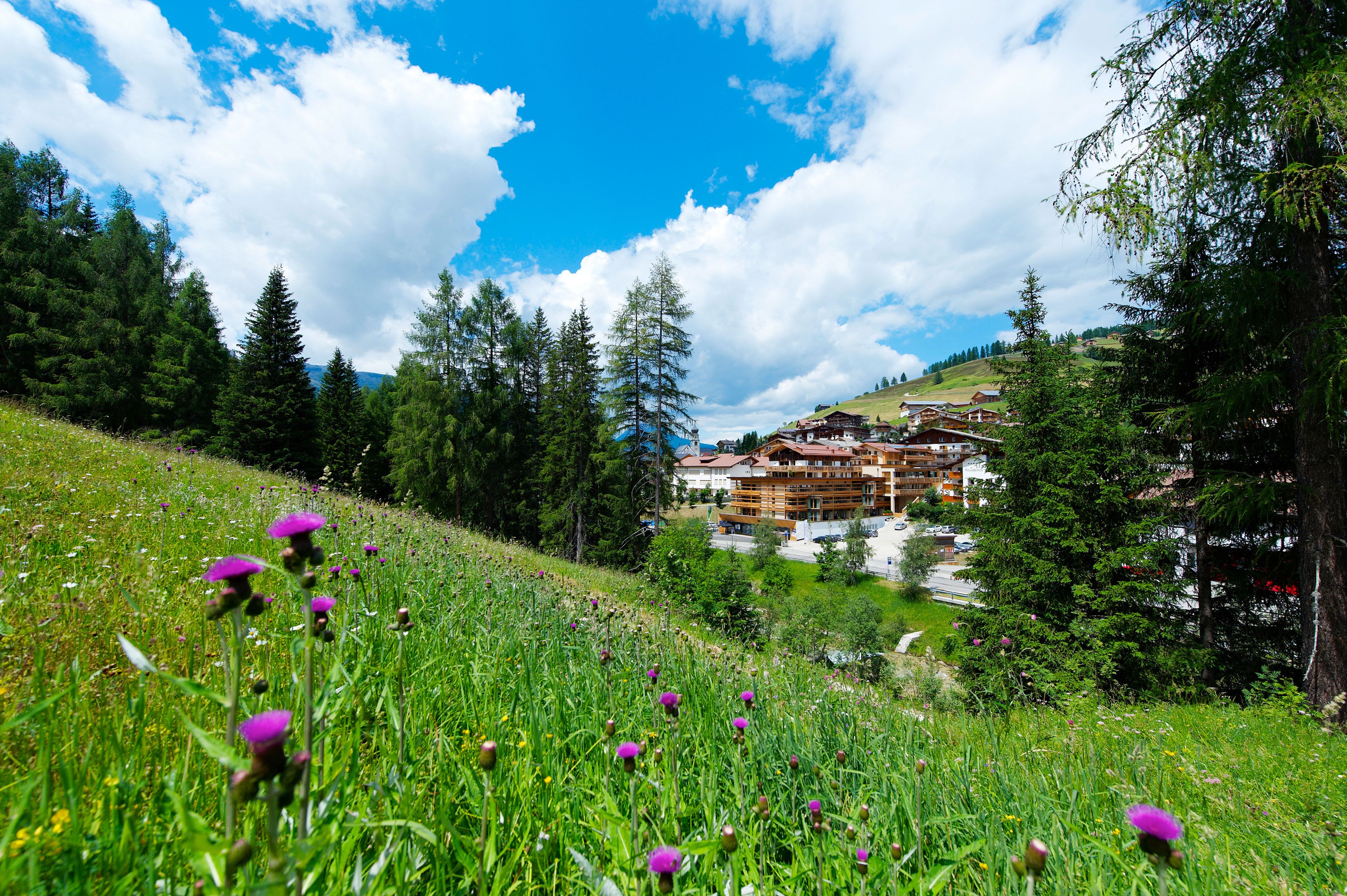 Lagació Mountain Residence