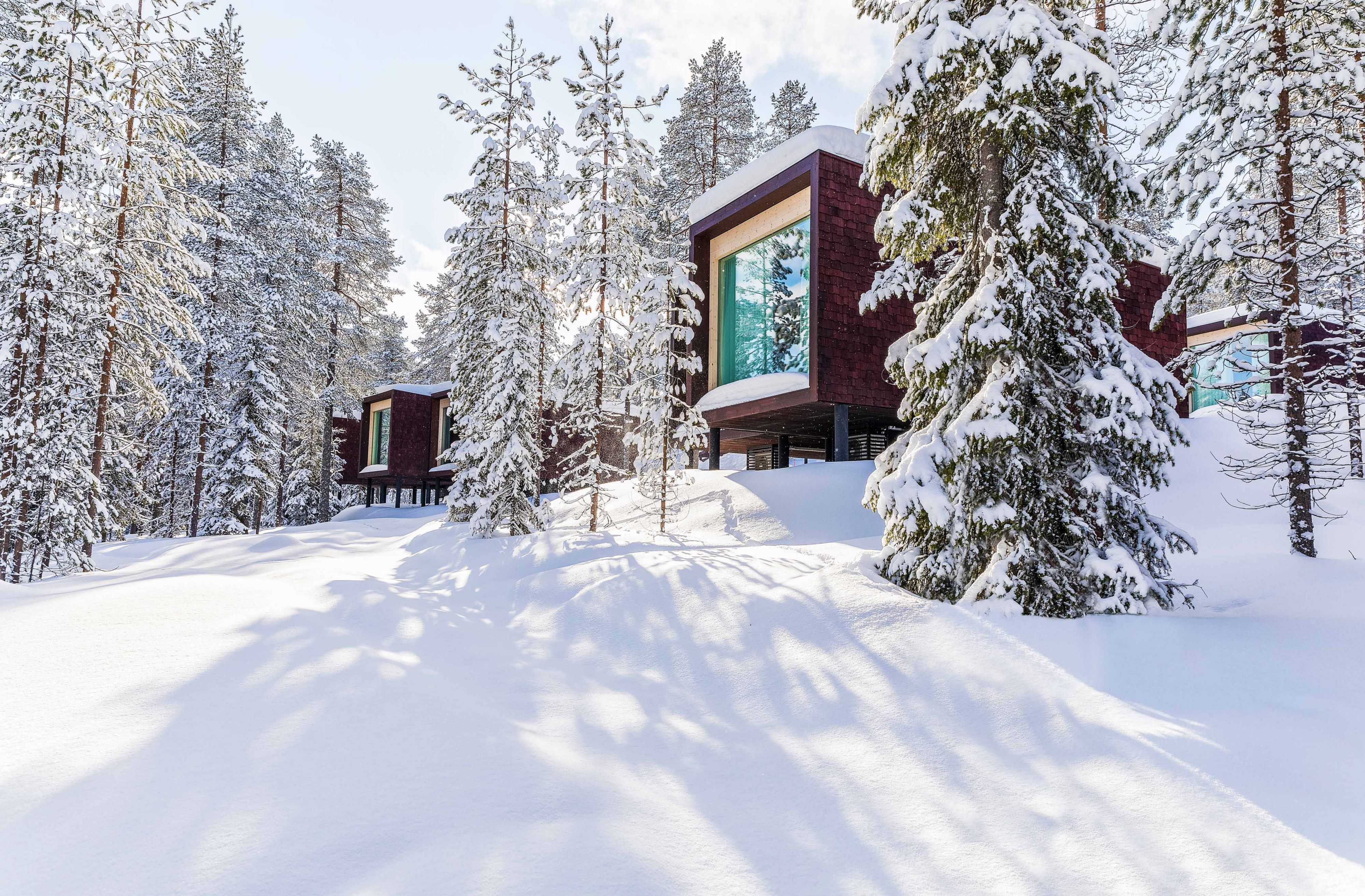 Arctic Treehouse Hotel